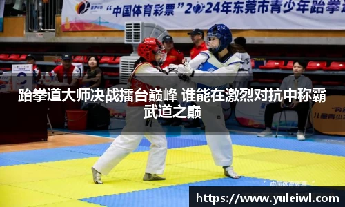 跆拳道大师决战擂台巅峰 谁能在激烈对抗中称霸武道之巅